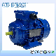 Ie2 Ie3 Ye2 Ye3 Ybx3 Y2 Yc Premium High Efficiency Asynchronous High Power AC Electric Motor