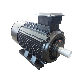 3-Phase Asynchronous Motor Series Sdm-Zsspecial for Sand Maker