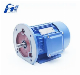  Y3 Series Three-Phase B35 Flange Motor (IE1IE2IE3)