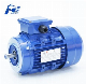  Ms Series Aluminum Shell Three-Phase B14 Flange Motor