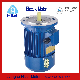 Ys (AO2) Premium High Efficiency Three Phase Induction AC Electric Asynchronous Motor with Good Quality