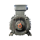 YE2series Three Phase AC Asynchronous Electric Motor for Water Pump