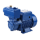 Sanhe Manufacturer TPS Series Single-Stage 220V 60Hz Peripheral Self-Suction Electric Clean Water Pump for Supply Water