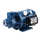 Pm16 Water Pump Peripheral Clean Water Pump