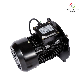 Special Electric Motor for Ye2 Aluminum Shell Burner manufacturer