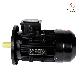 B5 Motor Special for Combustion Engine manufacturer