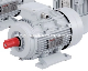  High Efficiency Aluminium Housing Ms Three-Phase Asynchronous Motor