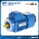  Variable Speed Low Rpm Gear Electric Motor with Brake