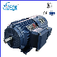 Yvf2 Series Three-Phase Asynchronous Motor Directly Sold by The Manufacture Yvf2-160m1-2 manufacturer