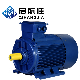 Ye3 Series 280kw Three Phase Induction Electric Motor 380V