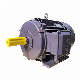 Low Voltage AC Electric Induction Motor with S1 & B3 for Industrial Structure