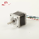  2/4 Phase NEMA17 42byg Series Ce Certificate Step Motors