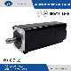  100W 200W 3000rpm Small 90s Series Servo Motor for Automation Machine (90mm)