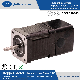 NEMA 8 Hybrid Stepper Motor for CNC Router