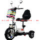 3 Wheel Electric Mobility Scooter with CE