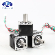  High Torque NEMA 8/11/17/23/34 Type 42bygh 20mm to 60mm Hybrid Linear Motor Double Shaft Stepper Motor