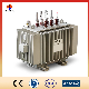  25kv Oil Immersed Distribution Power Transformer with Customized Service