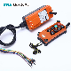 F21-E1b Hoist Crane Remote Pendant Control with All Kinds of Volatge