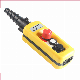  Factory Price Double Speed Single Speed 2 Push Button Crane Control with Emergency Stop