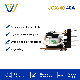 Chinese Factory Direct Sale High Quality Electrical Power Relay 24V 40A 5pins PCB Spdt Spst Intermediate Relays Rele Rela for EV Charger Motor