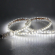  AC120V AC230V 2835 6000K CCT Outdoor Home Tree Decoration Lighting Waterproof 50m Ce ETL IP65 LED Strip Lights