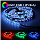  LED Strip 2835 / 5050 DC 12V 60 LED/M Flexible LED Light RGB / White / Warm White / Blue / Green / Red LED Strip 5m/Lot