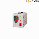 Factory Price Digital Display Automatic Voltage Stabilizer