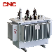  CNC Efficient and Energy- Saving Low Low Voltage Windings Loss Sbh15 Distribution Transformer