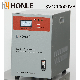 Honle SVC Servo Motor Type Automatic Voltage Regulator 3000va