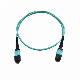 MPO Patch Cord with Low Insertion Loss and High Return Loss for Sm/mm Fiber Model