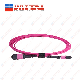 144 Core Om4 MPO MTP Fiber Optic Patch Cord