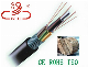 GYTA/GYFTY, GYTS, 2- 48 Core Optical Fiber Cable