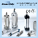 Single Double Acting DNC ISO6431 Stainless Steel Pneumatic Air Cylinder