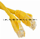High Speed Gigabit RJ45 UTP CAT6 Patch Network Cable manufacturer