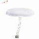 Asia Top Sell Das Wide Band 698-3800 MHz 153 Dbc 5dBi N Female MIMO Omni Antenna manufacturer