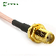 Antenna Coaxial 20cm SMA Female to SMA Male Rg178 Rg316 RF Cable manufacturer