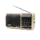 FM/Am/Sw Radio with Music Play/Portable Speaker (N520)