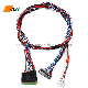 Custom Cable VGA Lvds Converter Connector Wire Harness Assembly Assembly Cable