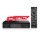  Factory Price Free Digital TV Box 1080P DVB Indonesia Evinix DVB-T2 Youtube IPTV Set Top Box