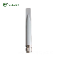  High Gain 868 MHz or 915MHz Fiberglass Antenna Omni Directional Outdoor Antenna