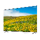 32" LCD Display TV 12V AC/DC/Solar TV with Low Electricity Consumption DVB T2 S2 Digital Satellite TV