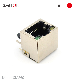 RJ45 PCB Mount LED Transformer 8p8c Modular Jack manufacturer