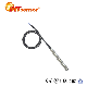  20m H2O Small Diameter Liquid/Water Level Sensor Probe 316L PCM268 (WTL02)