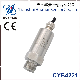 IP67 0~100MPa 9~36VDC Cyb4221 Small Outline Pressure Transmitter