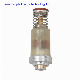  High-Quality Gas Solenoid Valve/Gas Magnet Valve Orkli