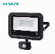  High Quality PIR Sensor Outdoor Street LED Floodlight