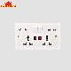  10 Pin Socket Double 13A+16A Single Smart Wall Switch Socket with Light