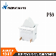  PS9 Hot Sale Push Button for Home Application and Lighting Button Switch