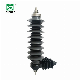 27kv Polymeric Lightning Arresters/Surge Arrester Yh10W-27