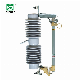 33kv Drop out Fuses Cutout/Fuse Switch/Fusibles